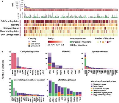 Druggable genomic landscapes of high-grade gliomas